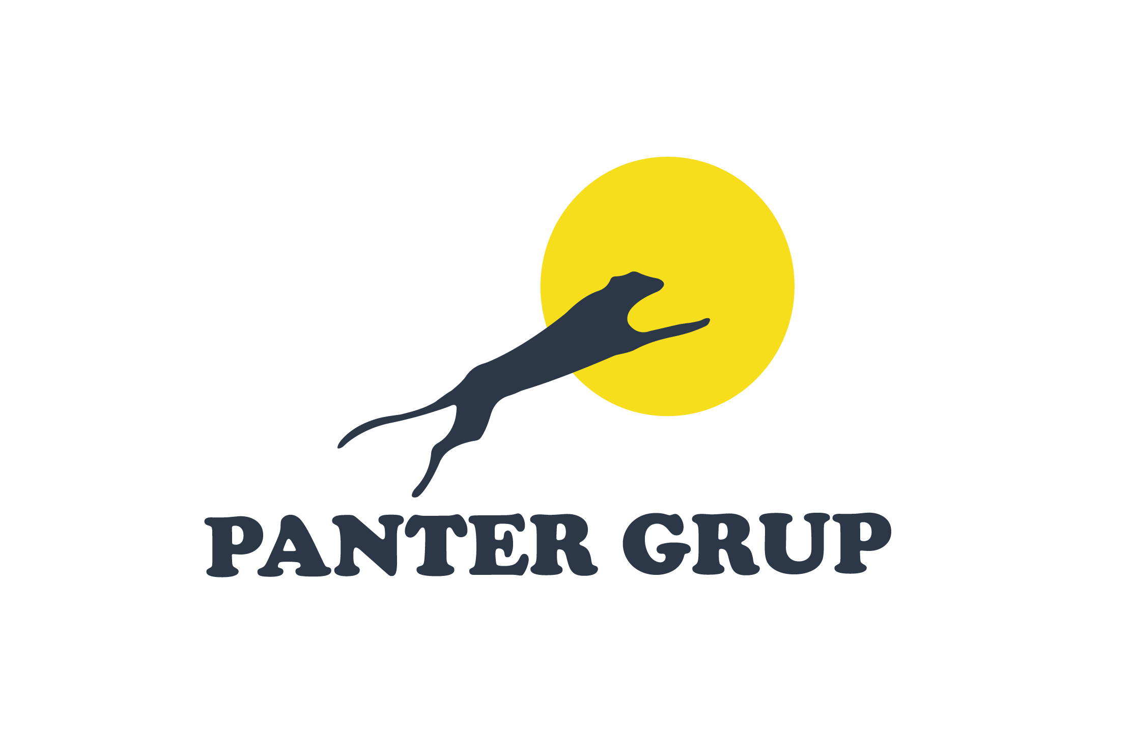Panter Grup - Home